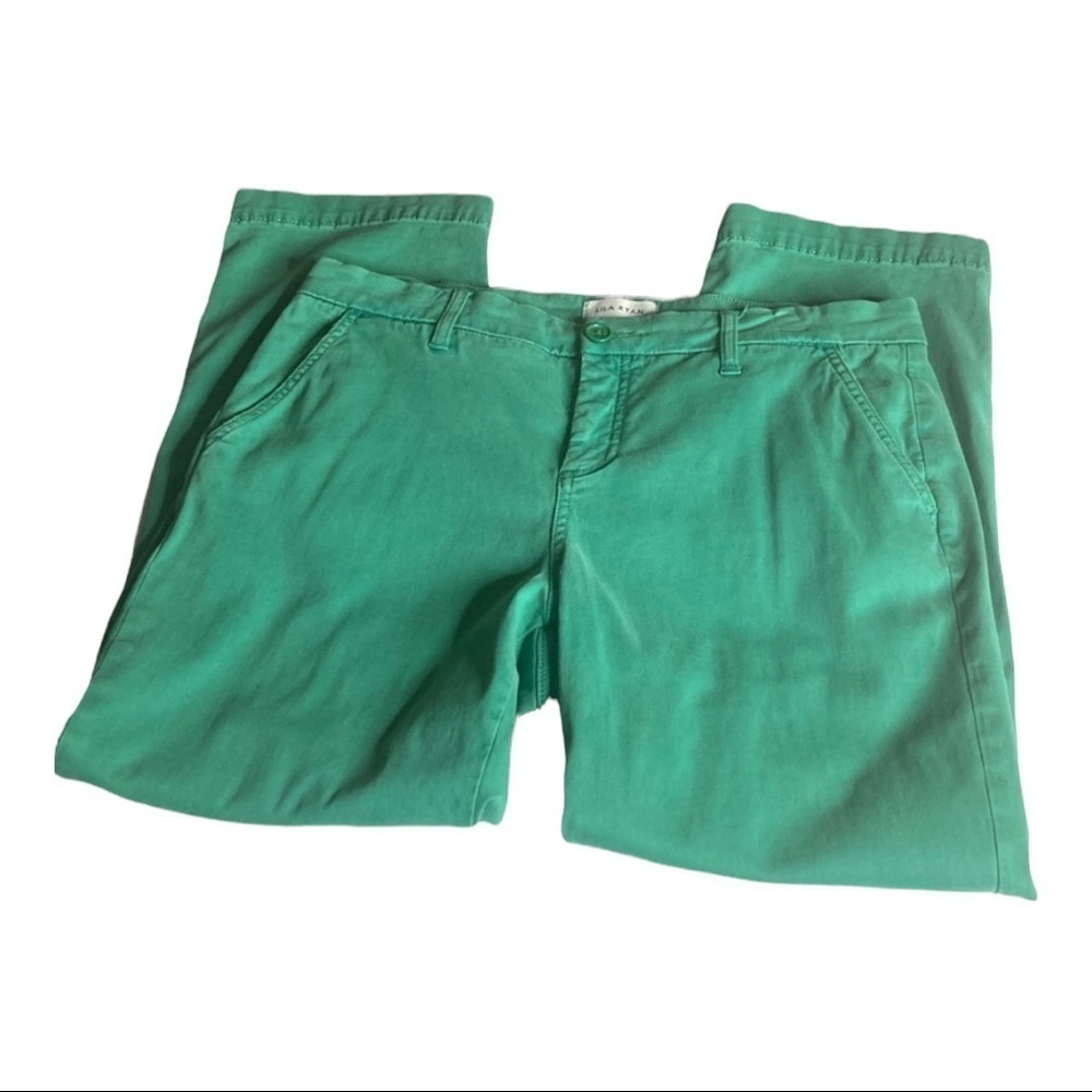 - Lila Ryan Soft Green Tencel Blend Pants Sz 12